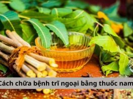 cách chữa bệnh trĩ ngoại bằng thuốc nam