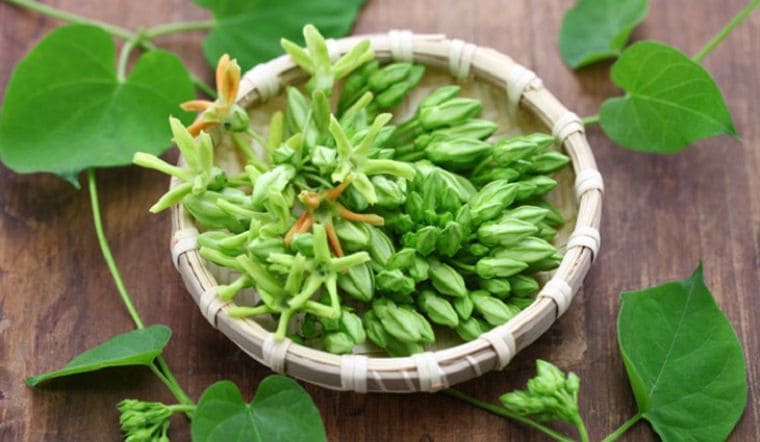 Cách chữa bệnh trĩ ngoại bằng thuốc nam: Hoa thiên lý + muối trắng