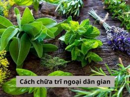 Cách chữa trĩ ngoại dân gian