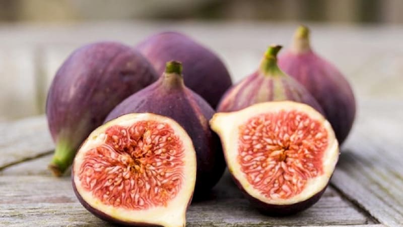 Chữa bệnh trĩ với quả sung an toàn