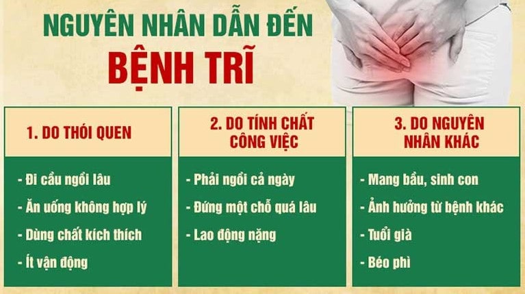 Nguyên nhân dẫn đến bệnh trĩ