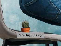 Biểu hiện trĩ nội