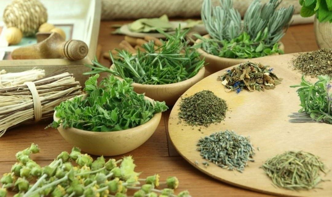Sử dụng các loại thảo dược và phương pháp hỗ trợ
