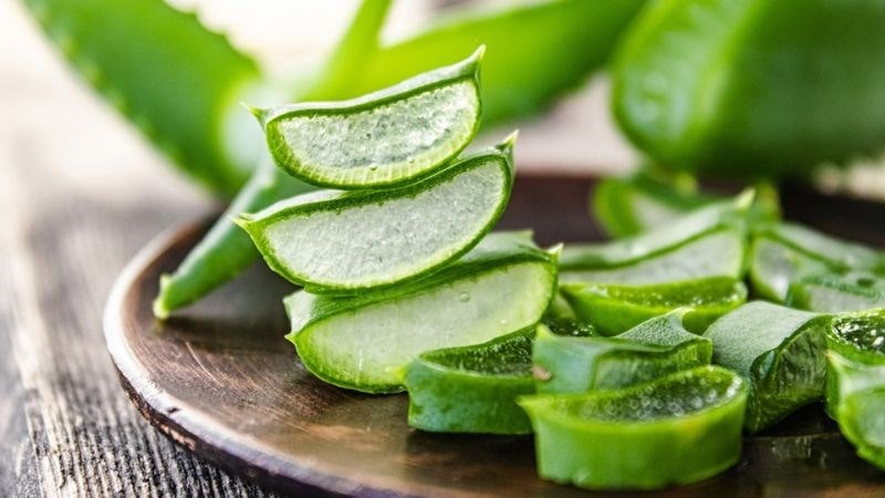 Cách chữa bệnh trĩ bằng nha đam tại nhà