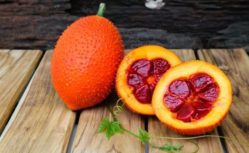 Bài thuốc chữa bệnh trĩ tại nhà từ hạt gấc