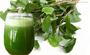 Uống nước rau diếp cá xay nhuyễn
