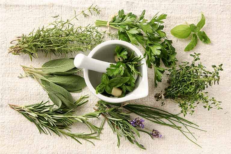 Cách chữa bệnh trĩ nội tại nhà được nhiều người áp dụng