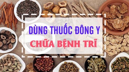 Tham khảo ngay 4 bài thuốc đông y trị bệnh trĩ