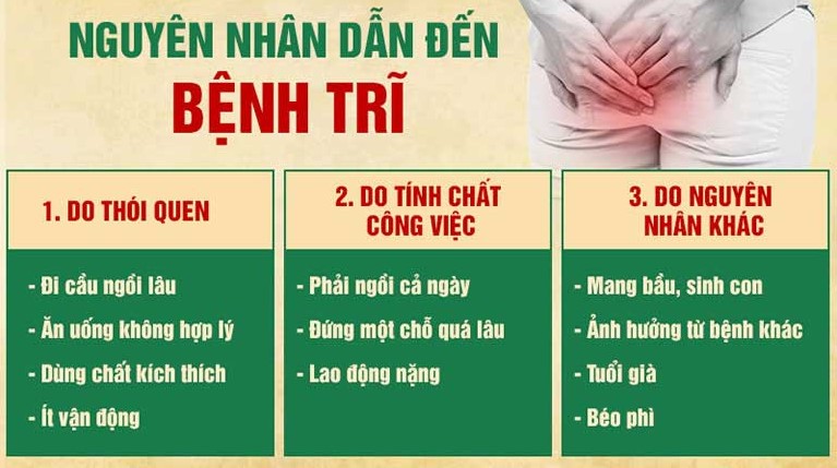 Nguyên nhân nào gây ra bệnh trĩ?