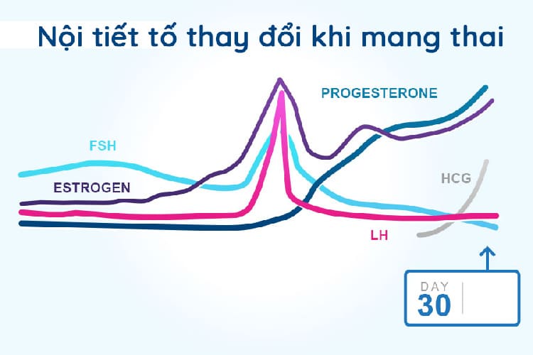 Lượng hormone thay đổi