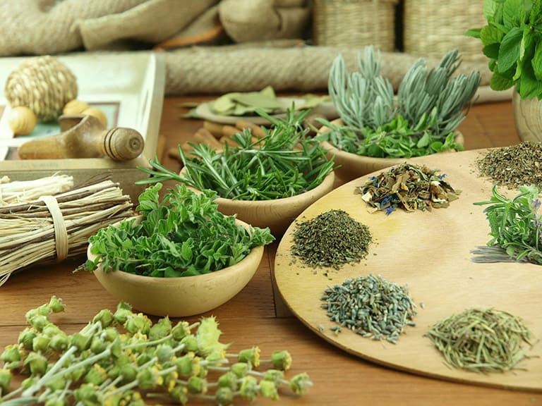 Ưu và nhược điểm của bài thuốc nam chữa bệnh trĩ nội
