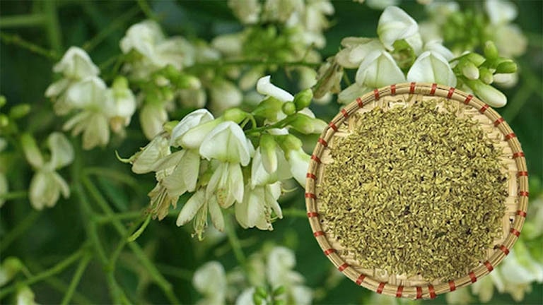 Lựa chọn hoa hòe chữa trĩ