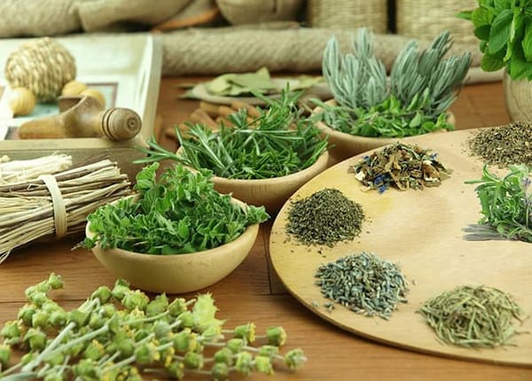 Cách chữa trĩ ngoại độ 1 tại nhà liệu có ổn?