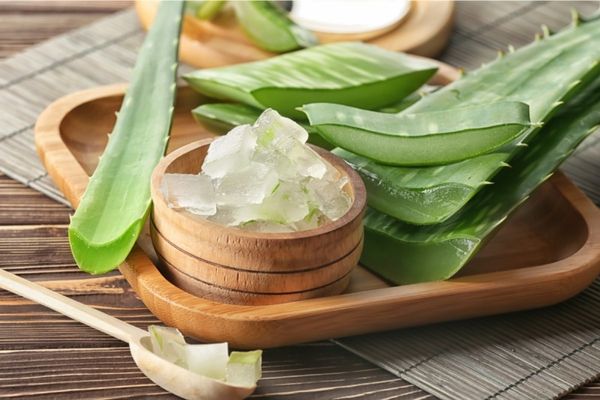 Những tác dụng tuyệt vời của nha đam