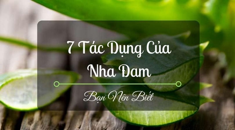 Tìm hiểu những tác dụng phụ của nha đam