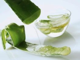 Một số lưu ý khi sử dụng nha đam đối với người bị trĩ