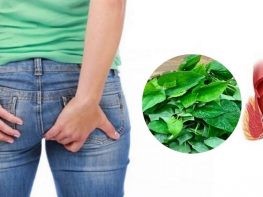 Rau diếp cá trị bệnh trĩ nội