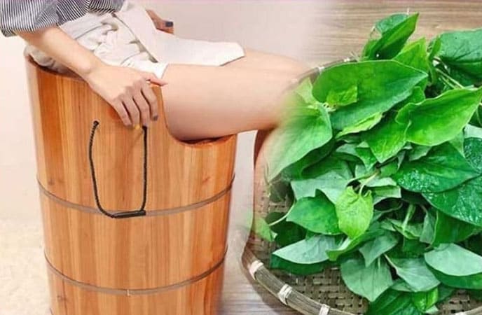 Rau diếp cá trị bệnh trĩ nội - Xông hơi với rau diếp cá