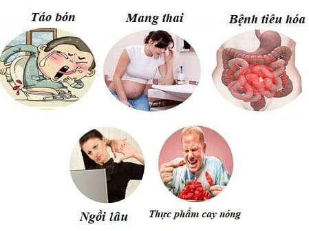 Bị trĩ nội thường do những nguyên nhân gì?