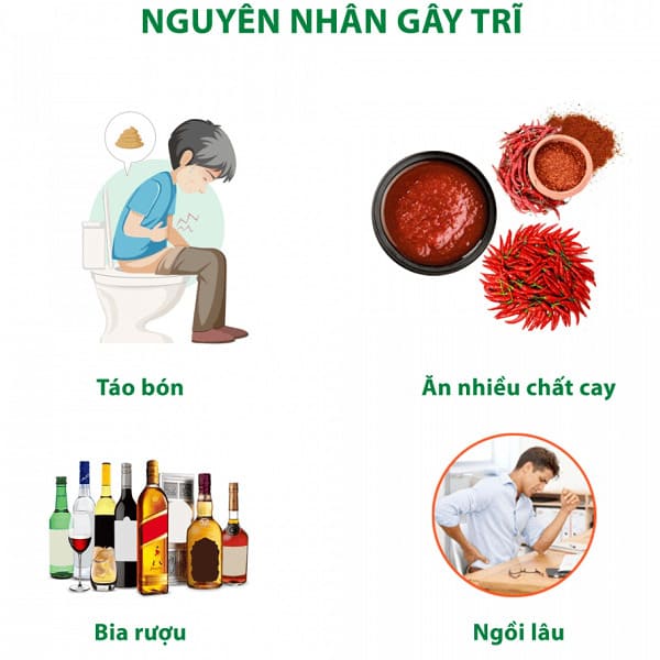 Nguyên nhân gì dẫn đến bệnh trĩ ngoại?