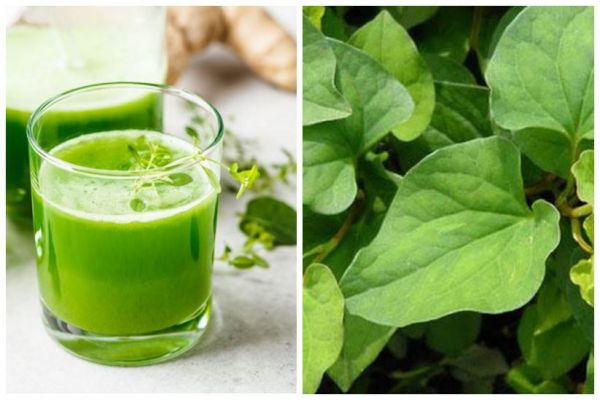 Hỗ trợ điều trị rò hậu môn bằng mẹo dân gian