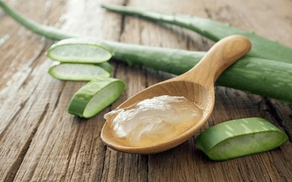 Cách chữa nứt kẽ hậu môn bằng nha đam