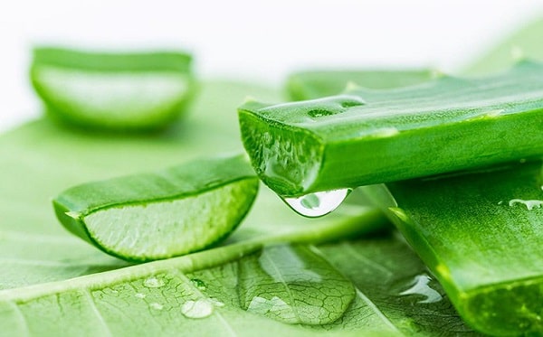 Phương pháp chữa ngứa hậu môn tại nhà - Sử dụng nha đam