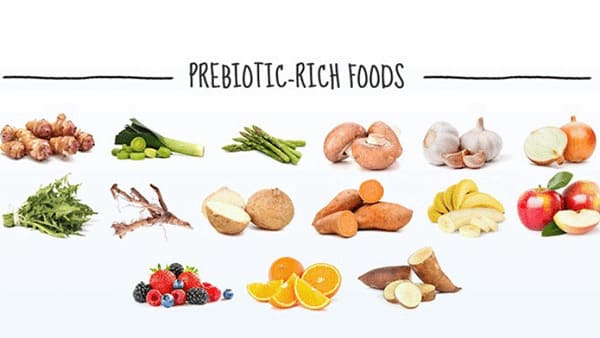 Tăng cường thực phẩm giàu prebiotic