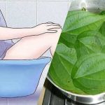 Ngâm hậu môn trong nước lá trầu không